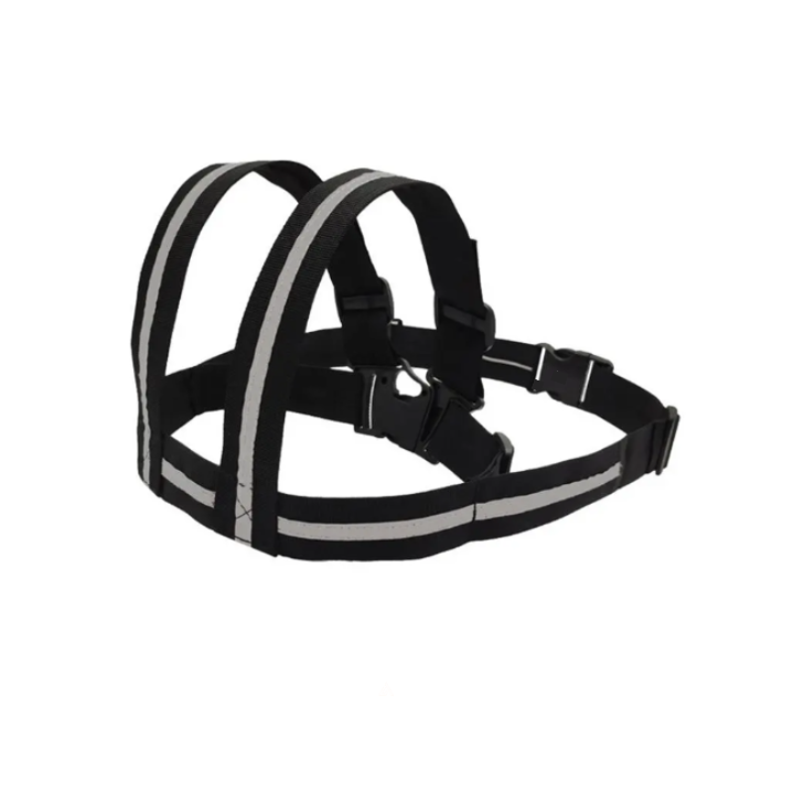 MiniCyclist Safety Belt